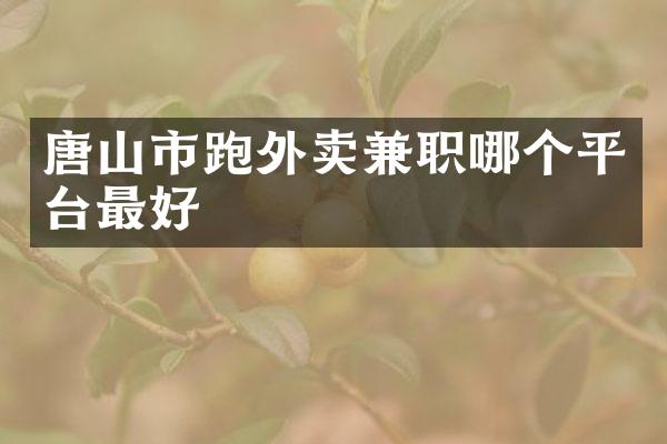 唐山市跑外卖兼职哪个平台最好