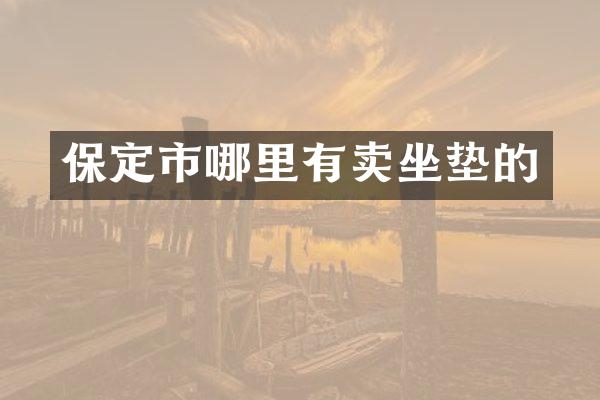 保定市哪里有卖坐垫的