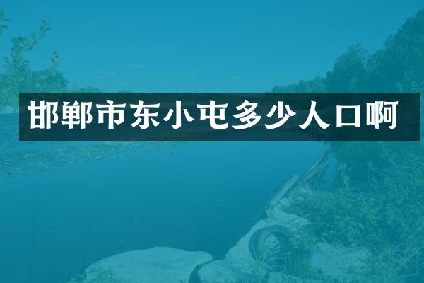 邯郸市东小屯多少人口啊