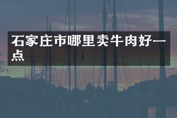 石家庄市哪里卖牛肉好一点