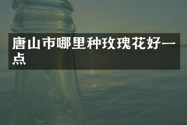 唐山市哪里种玫瑰花好一点