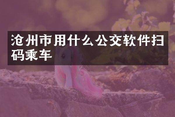 沧州市用什么公交软件扫码乘车