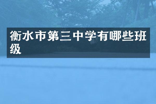 衡水市第三中学有哪些班级