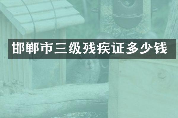 邯郸市三级残疾证多少钱
