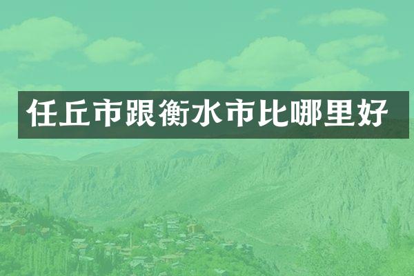 任丘市跟衡水市比哪里好