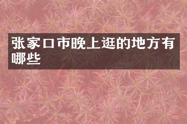 张家口市晚上逛的地方有哪些