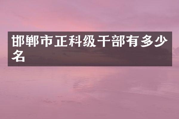 邯郸市正科级干部有多少名