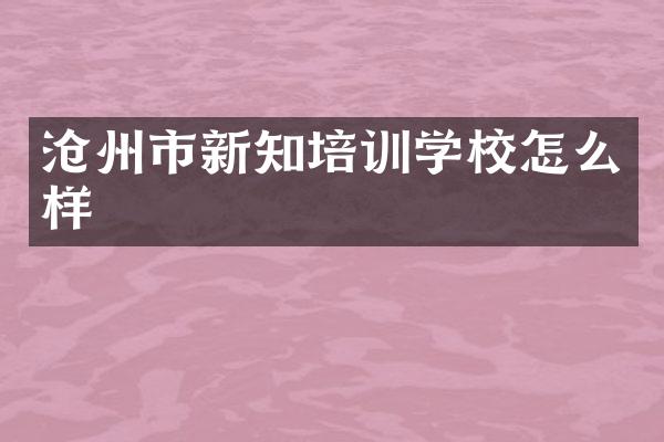 沧州市新知培训学校怎么样