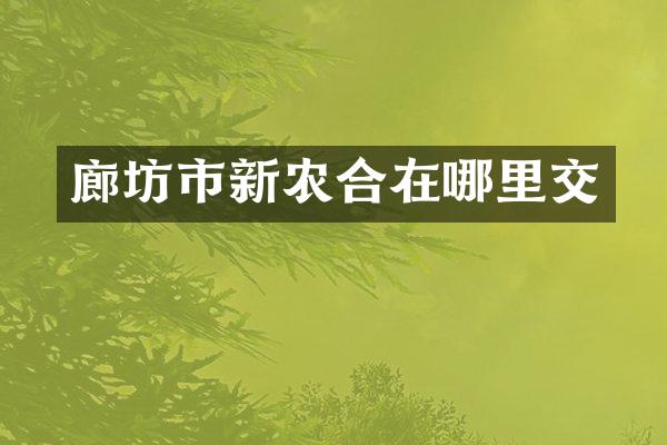 廊坊市新农合在哪里交