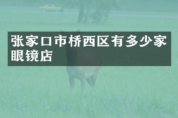 张家口市桥西区有多少家眼镜店