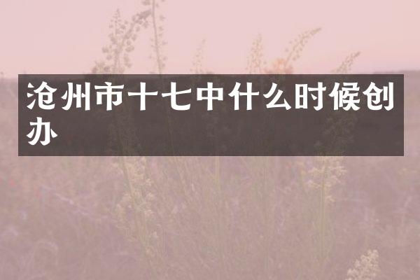 沧州市十七中什么时候创办