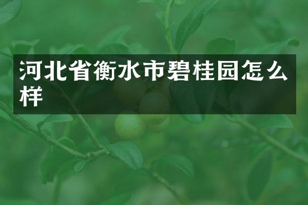 河北省衡水市碧桂园怎么样