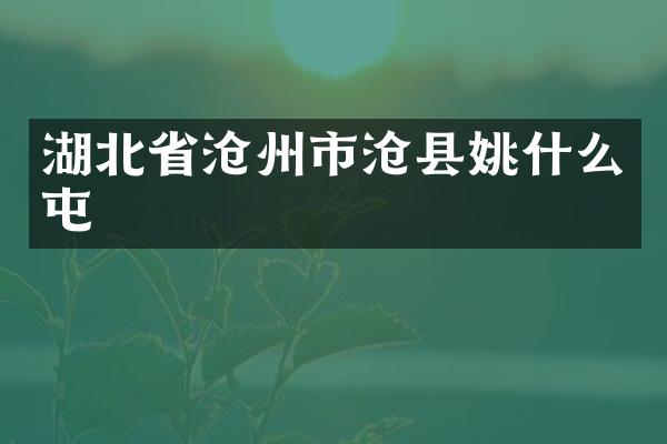 湖北省沧州市沧县姚什么屯