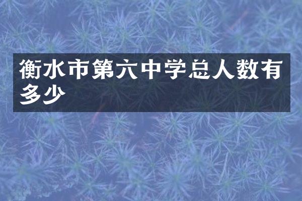 衡水市第六中学总人数有多少
