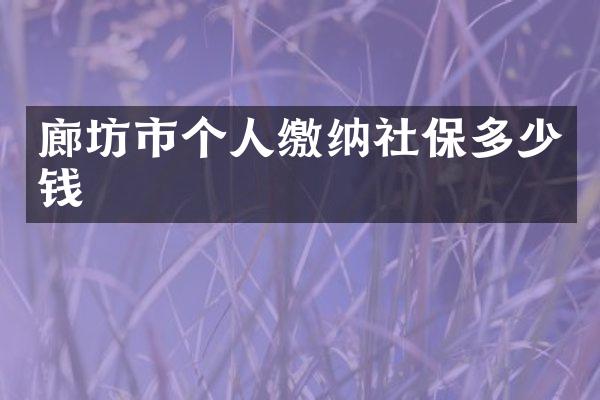廊坊市个人缴纳社保多少钱