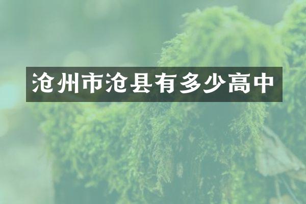 沧州市沧县有多少高中