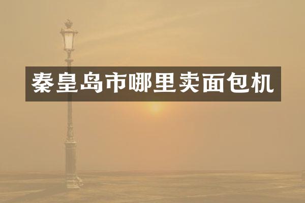 秦皇岛市哪里卖面包机