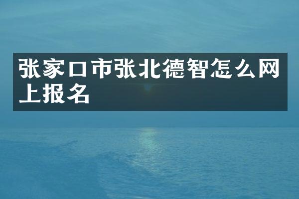 张家口市张北德智怎么网上报名