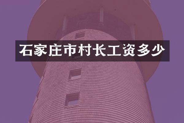 石家庄市村长工资多少