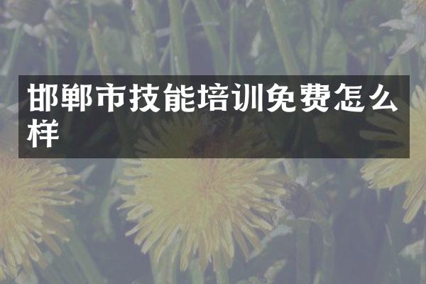 邯郸市技能培训免费怎么样