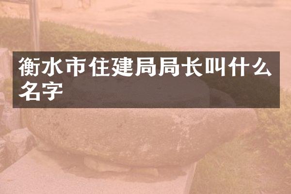 衡水市住建局局长叫什么名字
