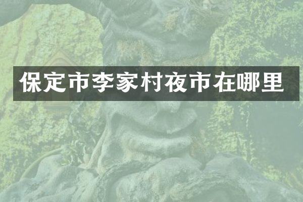 保定市李家村夜市在哪里
