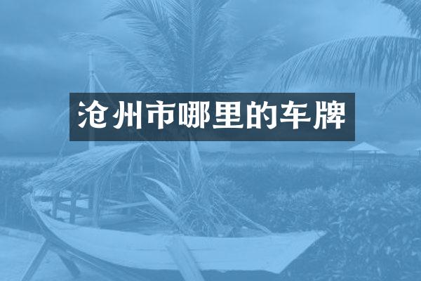 沧州市哪里的车牌