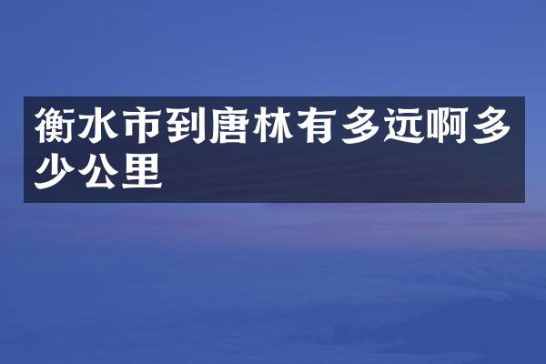 衡水市到唐林有多远啊多少公里