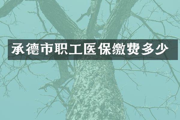 承德市职工医保缴费多少