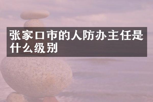 张家口市的人防办主任是什么级别