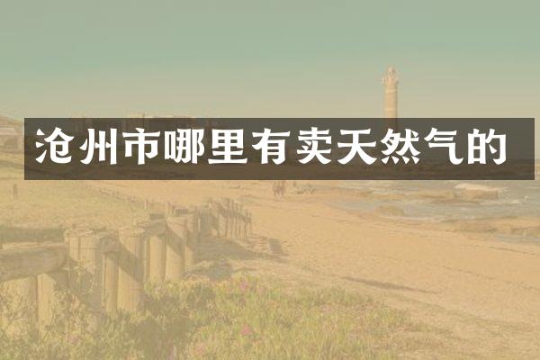沧州市哪里有卖天然气的