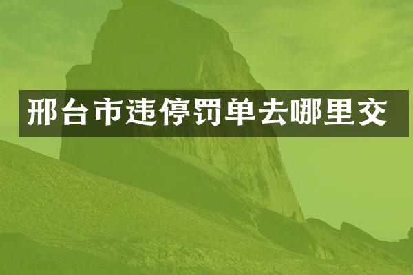 邢台市违停罚单去哪里交