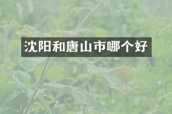 沈阳和唐山市哪个好