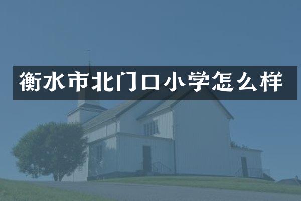 衡水市北门口小学怎么样