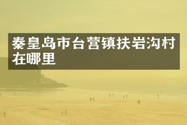 秦皇岛市台营镇扶岩沟村在哪里