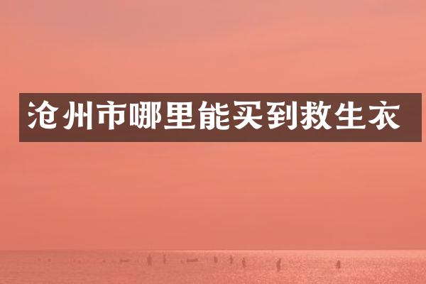 沧州市哪里能买到救生衣
