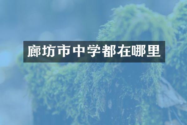 廊坊市中学都在哪里