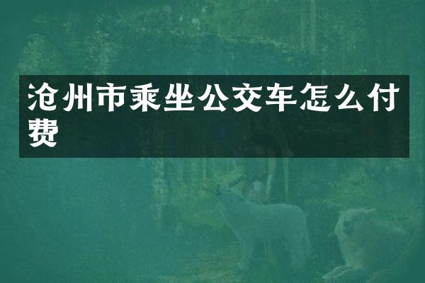 沧州市乘坐公交车怎么付费