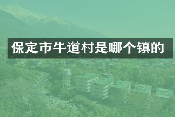 保定市牛道村是哪个镇的