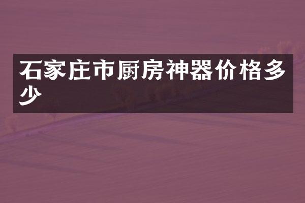 石家庄市厨房神器价格多少