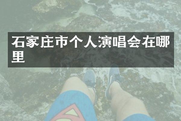 石家庄市个人演唱会在哪里
