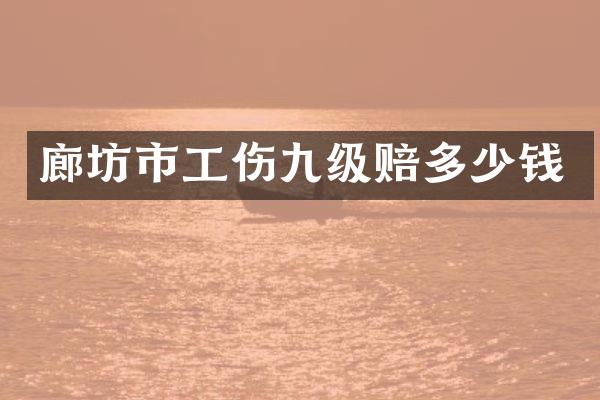 廊坊市工伤九级赔多少钱