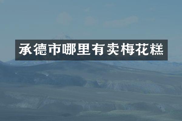 承德市哪里有卖梅花糕