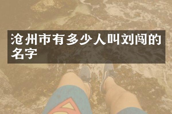 沧州市有多少人叫刘闯的名字