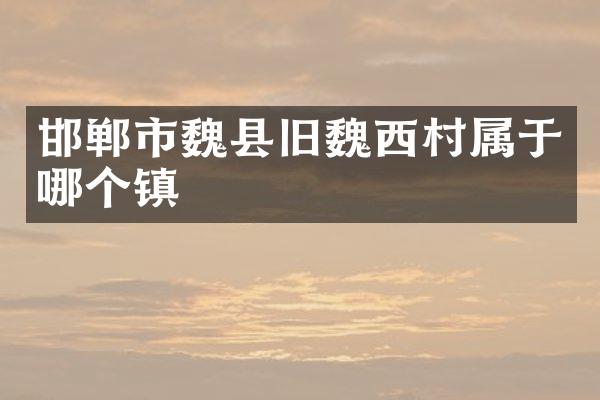 邯郸市魏县旧魏西村属于哪个镇