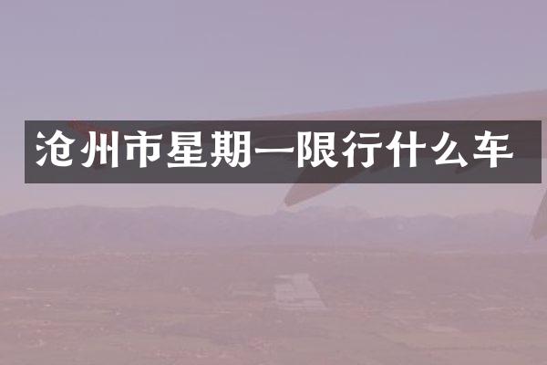 沧州市星期一限行什么车