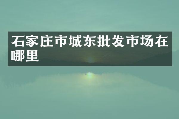 石家庄市城东批发市场在哪里