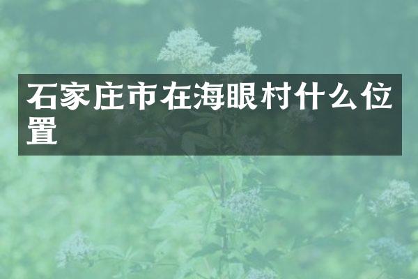 石家庄市在海眼村什么位置