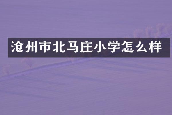 沧州市北马庄小学怎么样