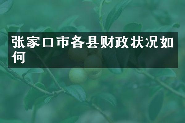 张家口市各县财政状况如何